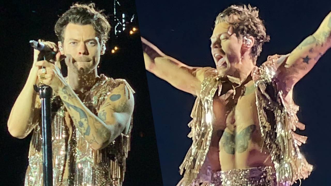 Harry Styles parle un excellent italien à Campovolo et utilise le subjonctif