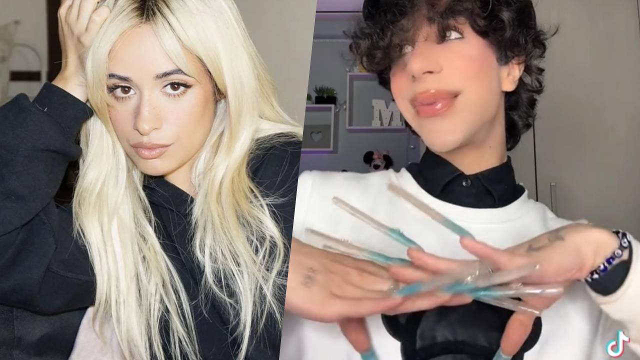 Camila Cabello suit Mauro Rossiello sur TikTok : "Voici ce qu'il m'a écrit"
